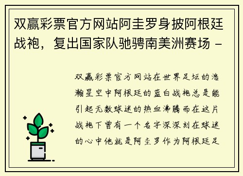 双赢彩票官方网站阿圭罗身披阿根廷战袍，复出国家队驰骋南美洲赛场 - 副本